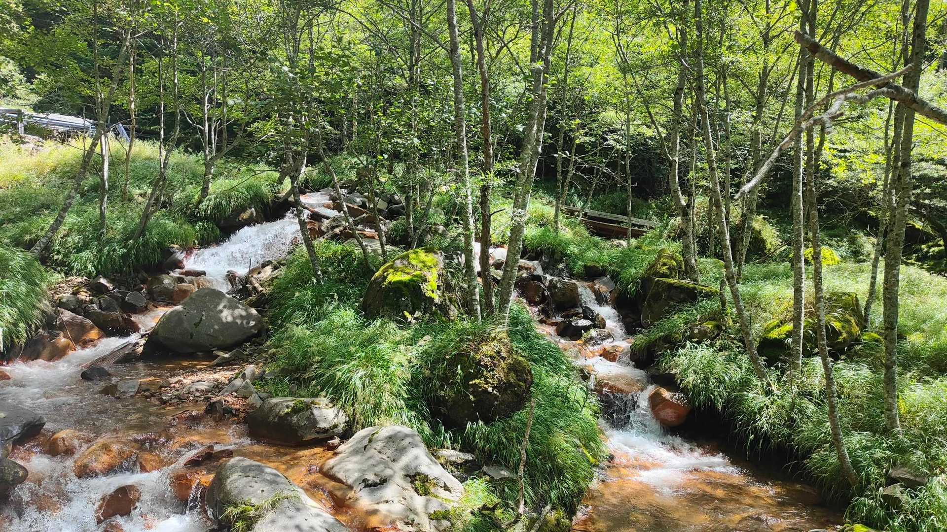 美濃戸-北沢-硫黄岳 往復コースの写真