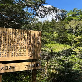 お花があるかと思って立ち寄りましたが乾燥化していました