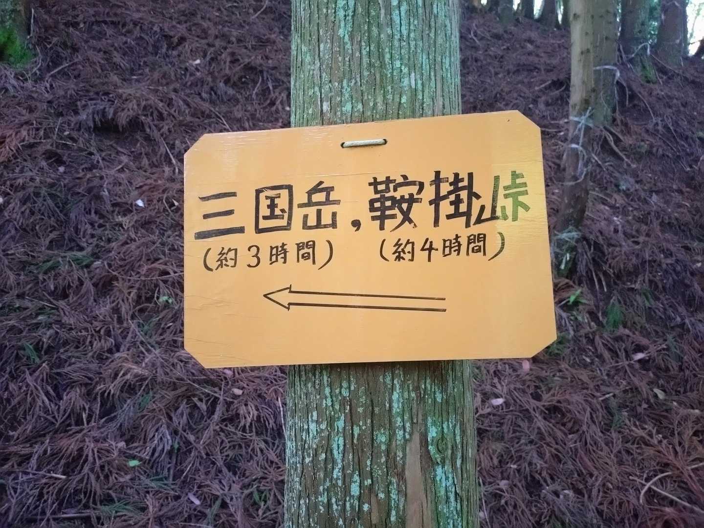 今日はヨコネへ🥾