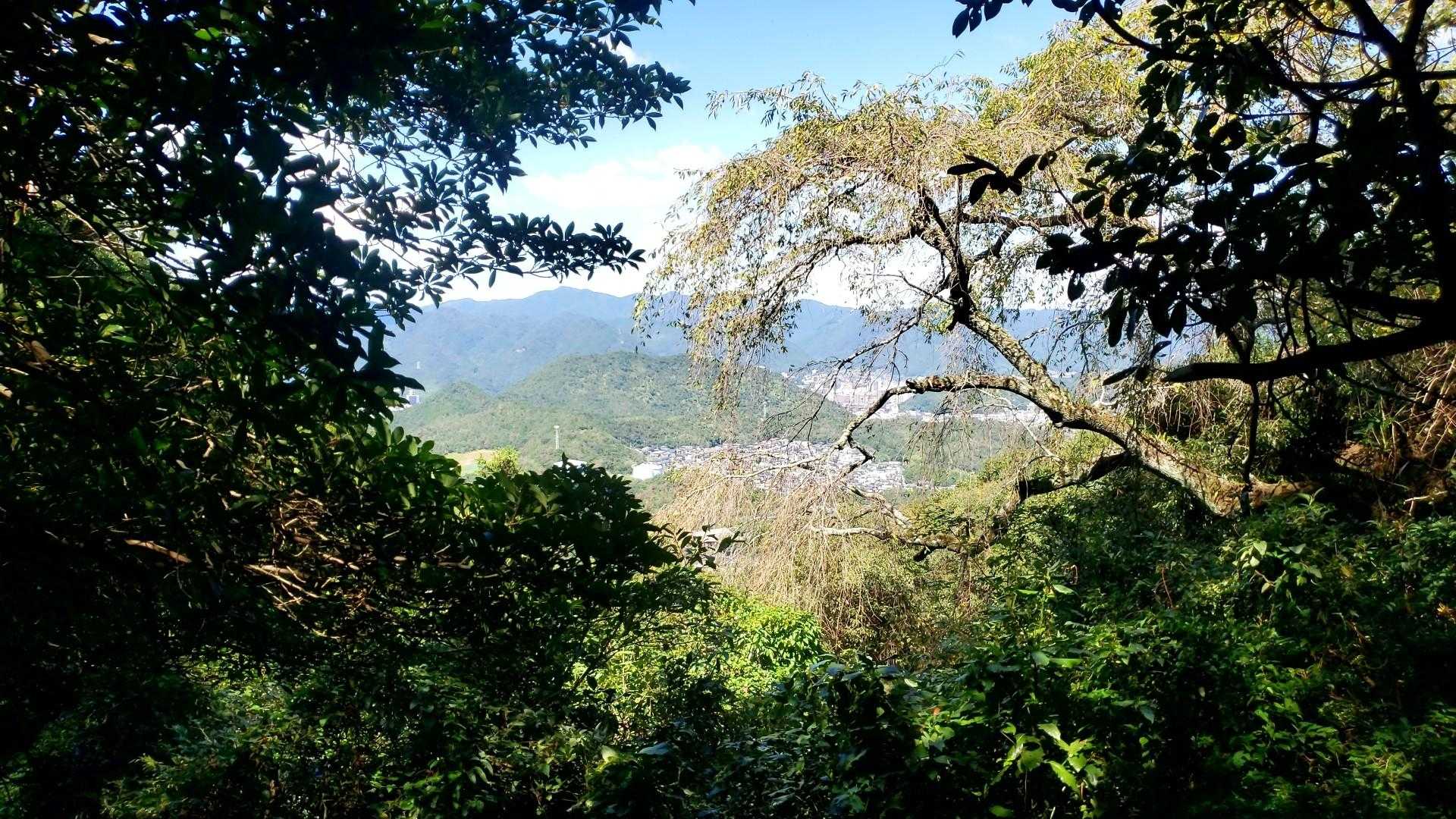 平清水八幡宮-今山 往復コースの写真