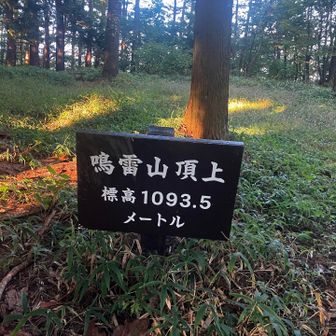 ごろぴかりゃー