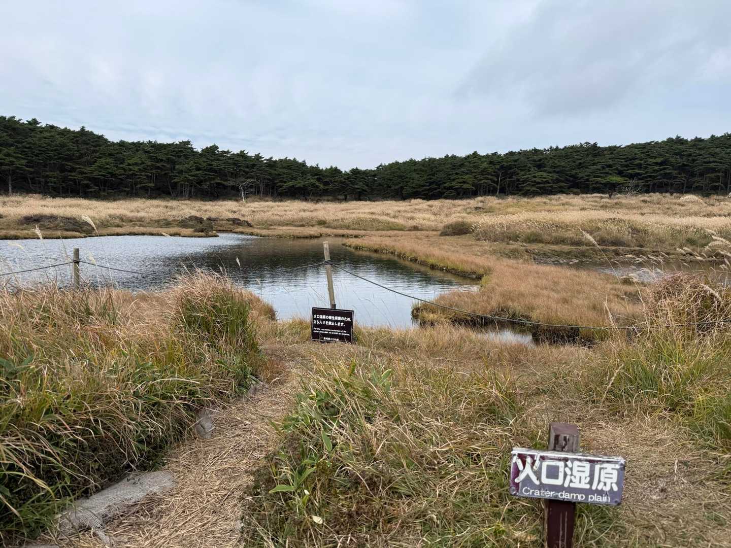 甑岳火口湿原の池塘
水は澄んでいる
水中には生き物気配はほぼない。アメンボはいる