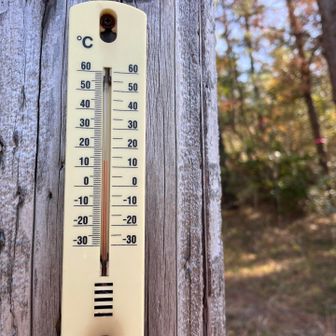 宮前コース登山口に到着
気温は13度　日差しがあるので薄着でも寒くない