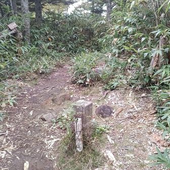 寺子屋峰