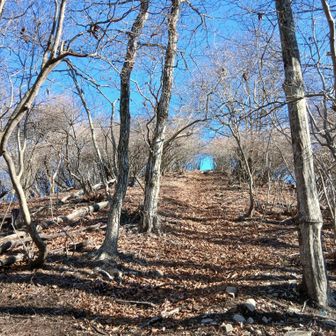 久々に絶景の山頂の予感