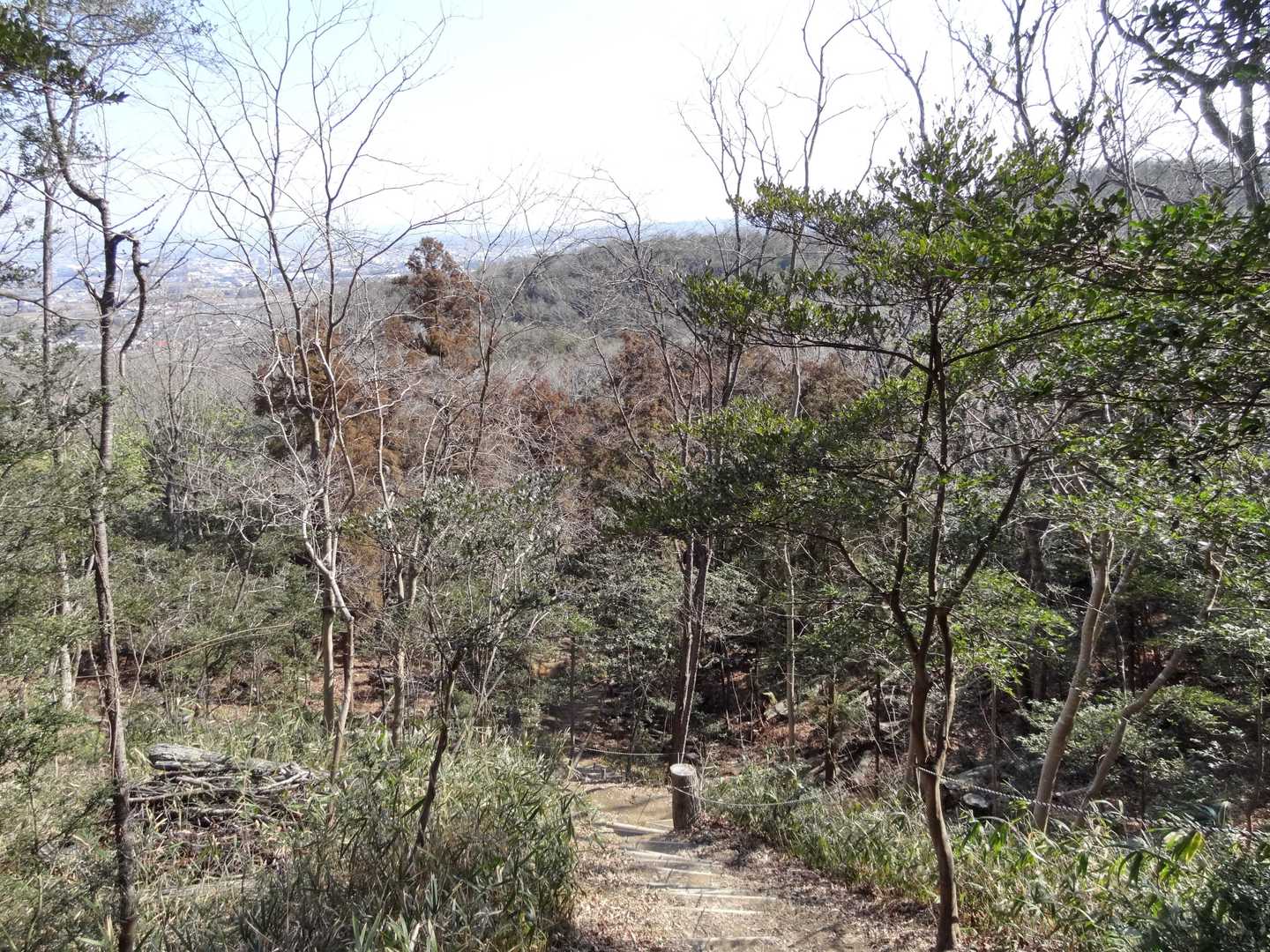 次の山が見えだすと先ずは下りです🤣それ、当然なんですけどね！