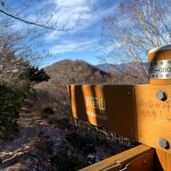 あれが川苔山かな。