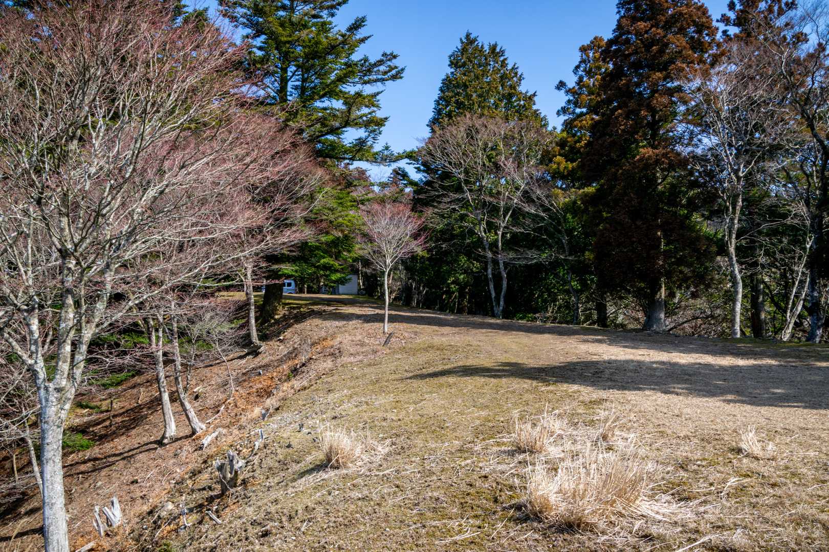 坂本棚田バス停-野登山 往復コースの写真
