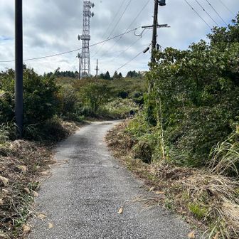 少し歩くと、弁当だけ持ったご夫婦がいた
私「えっ？車で来られたのですか？」
「はい、そこに駐車場がありますよ」