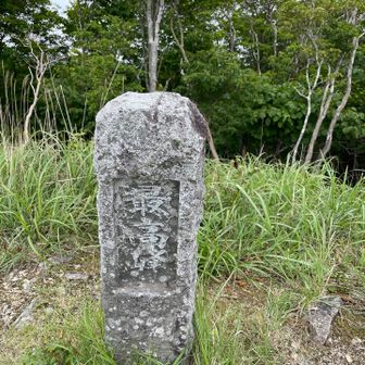 しぶい