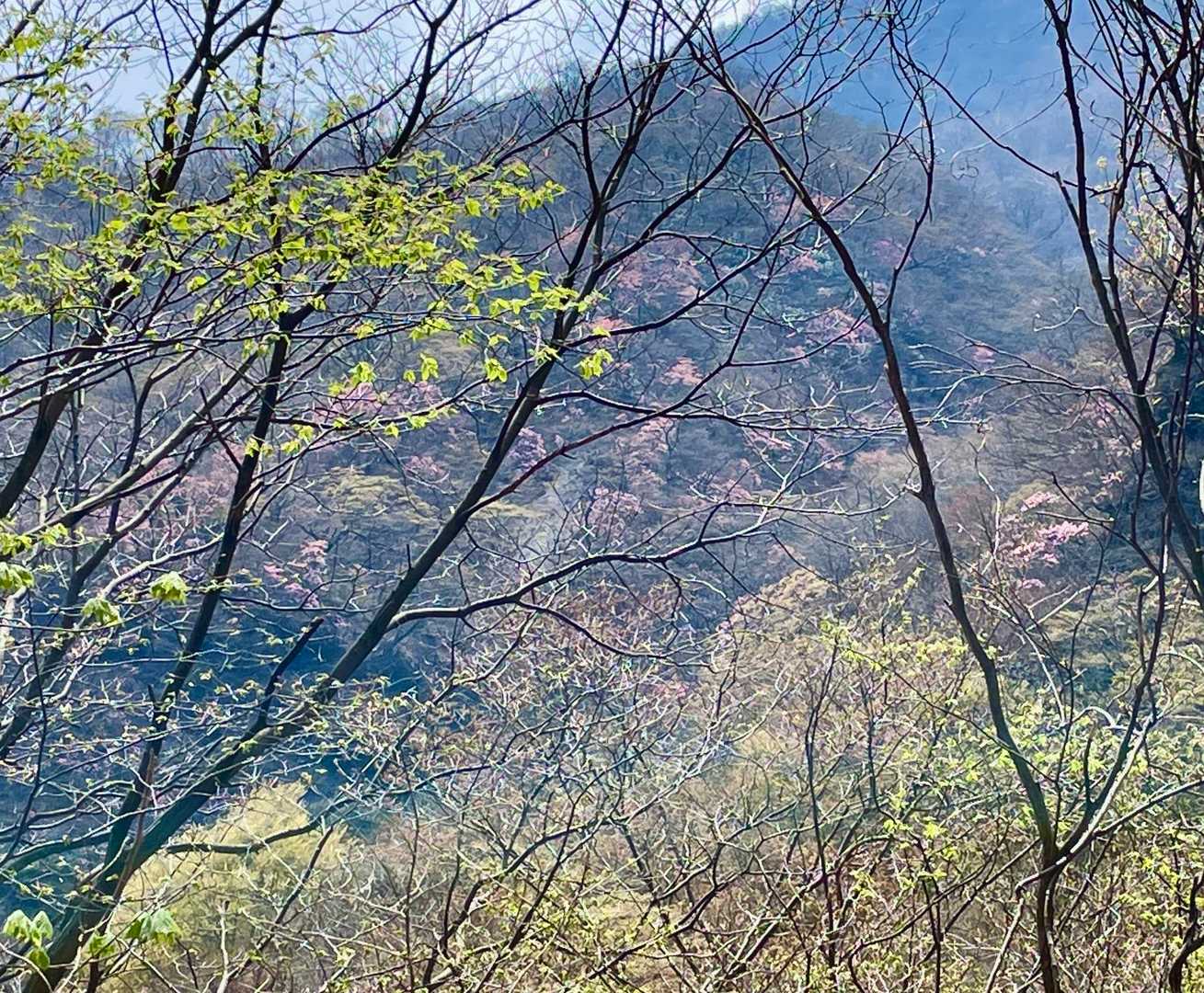 今度はあそこから降りよう