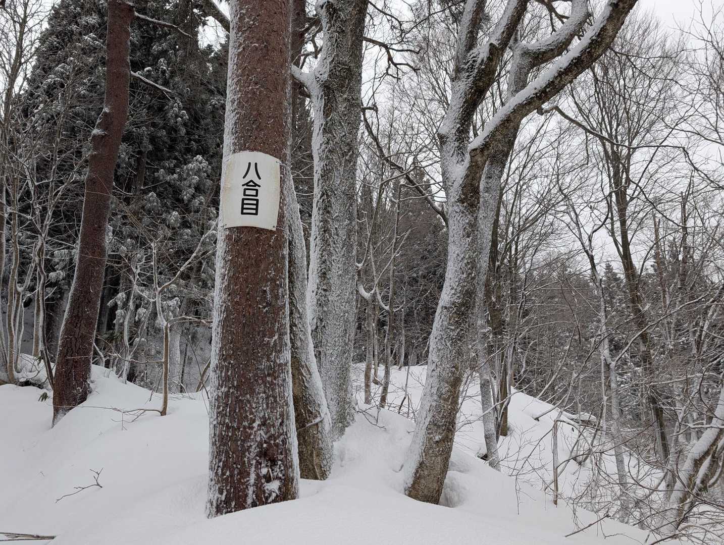 もう既に１時間近く経っている。