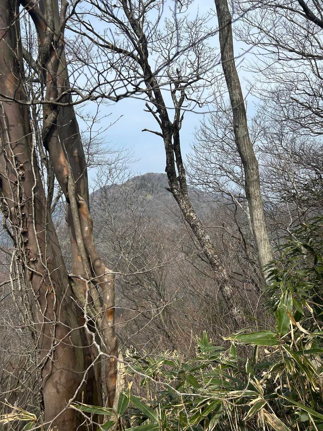 石見銀山の山かな？