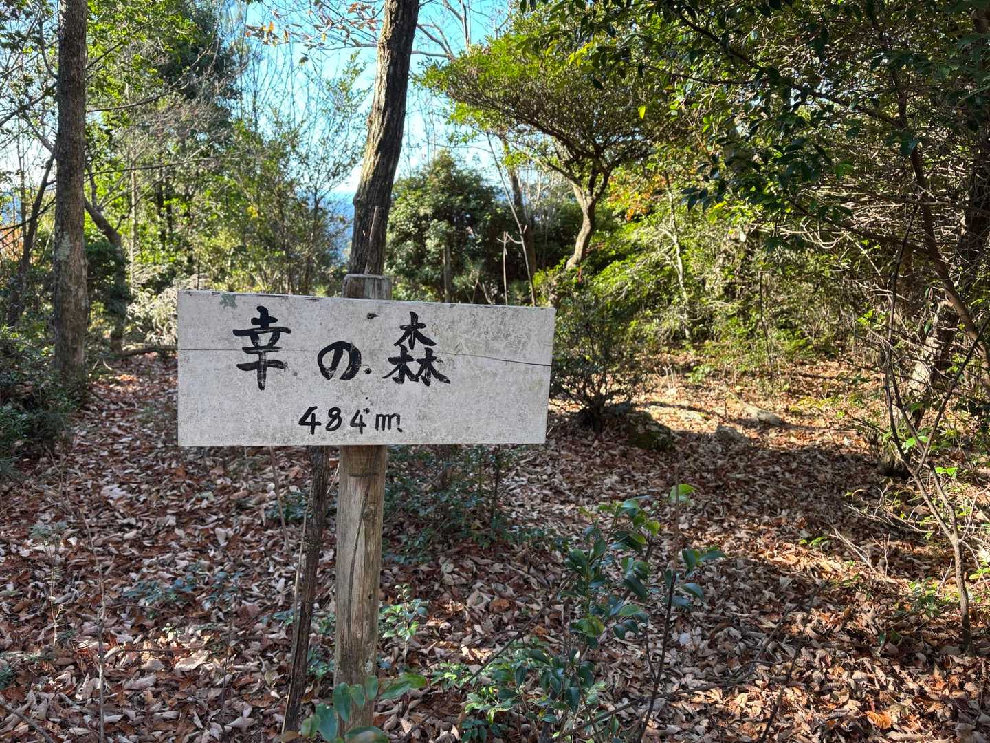 幸の森