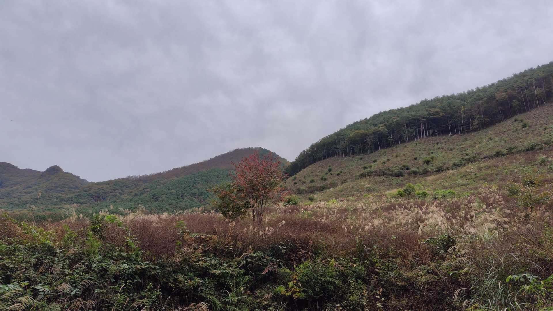 太刀岡山の名前の由来は、きっと太い刀がそこにあったんだと思います。
（どこだよ）