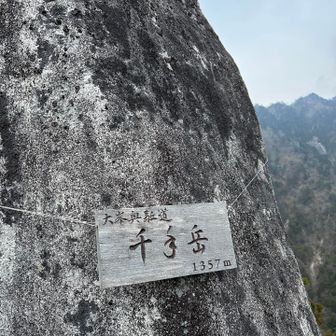 これは価値あるよ