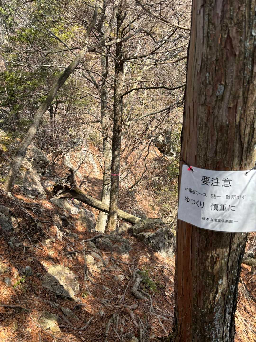 不死熊登山口-根本山 往復コースの写真