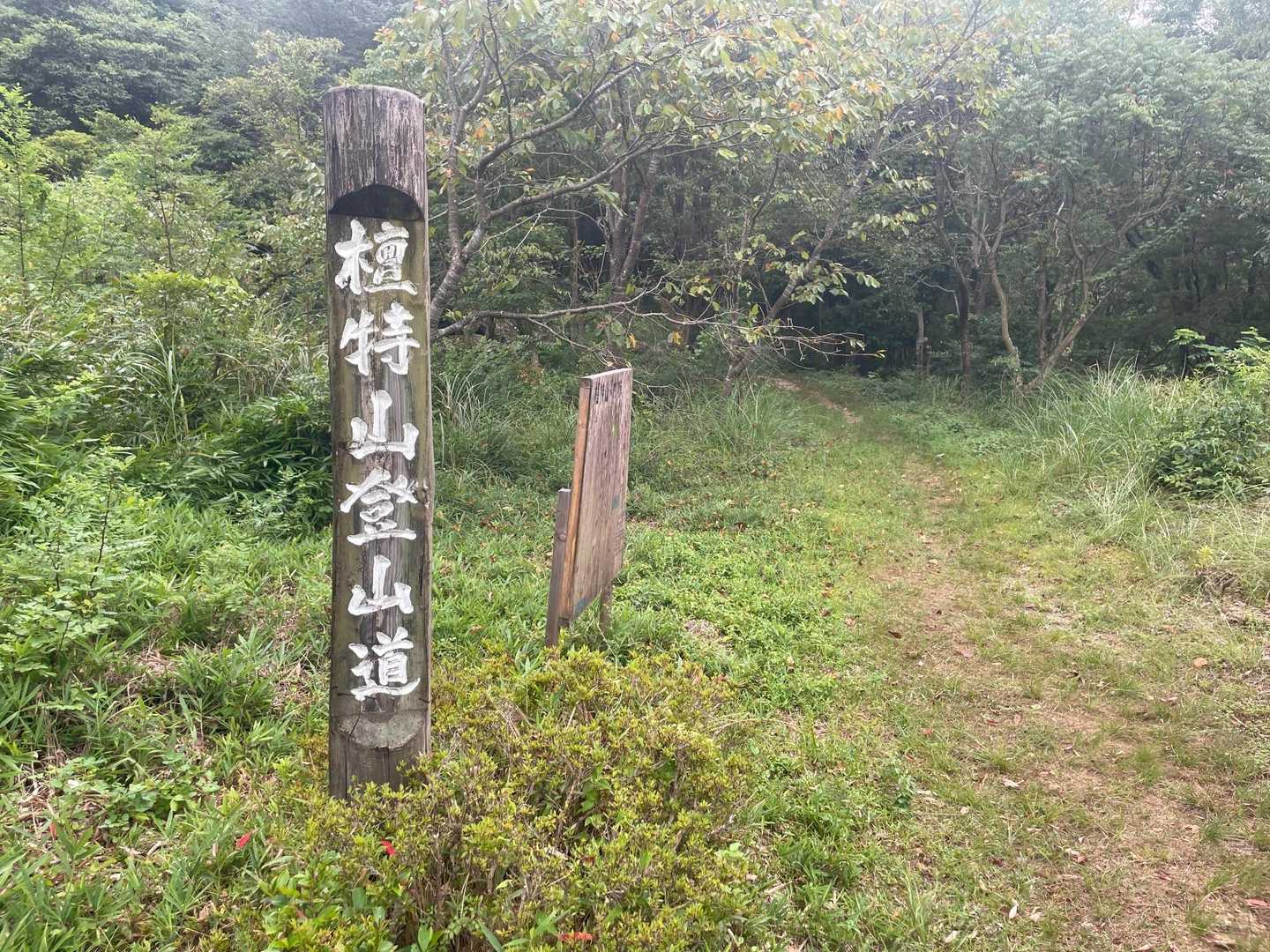 🦟藪蚊に気をつけてください