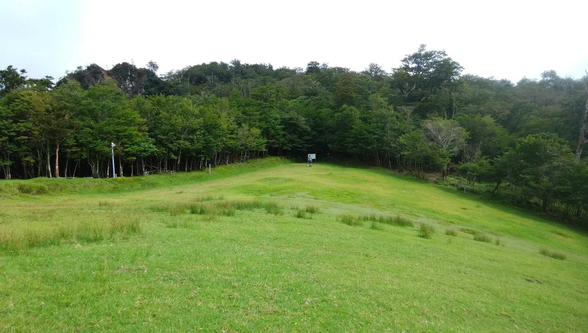 ふかふか、芝🌱🌱😄