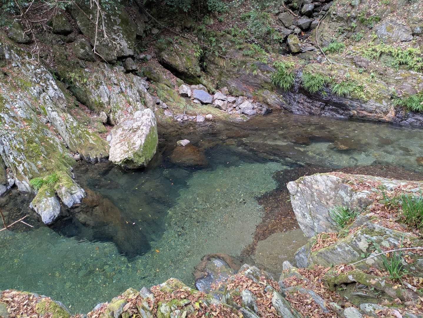 しばらく沢沿いのルートですが、清滝川の水が綺麗すぎる✨