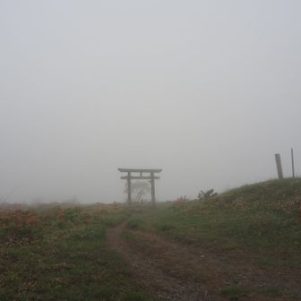 これ見て召されたかと思った