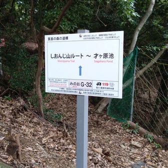 2個目ゲット