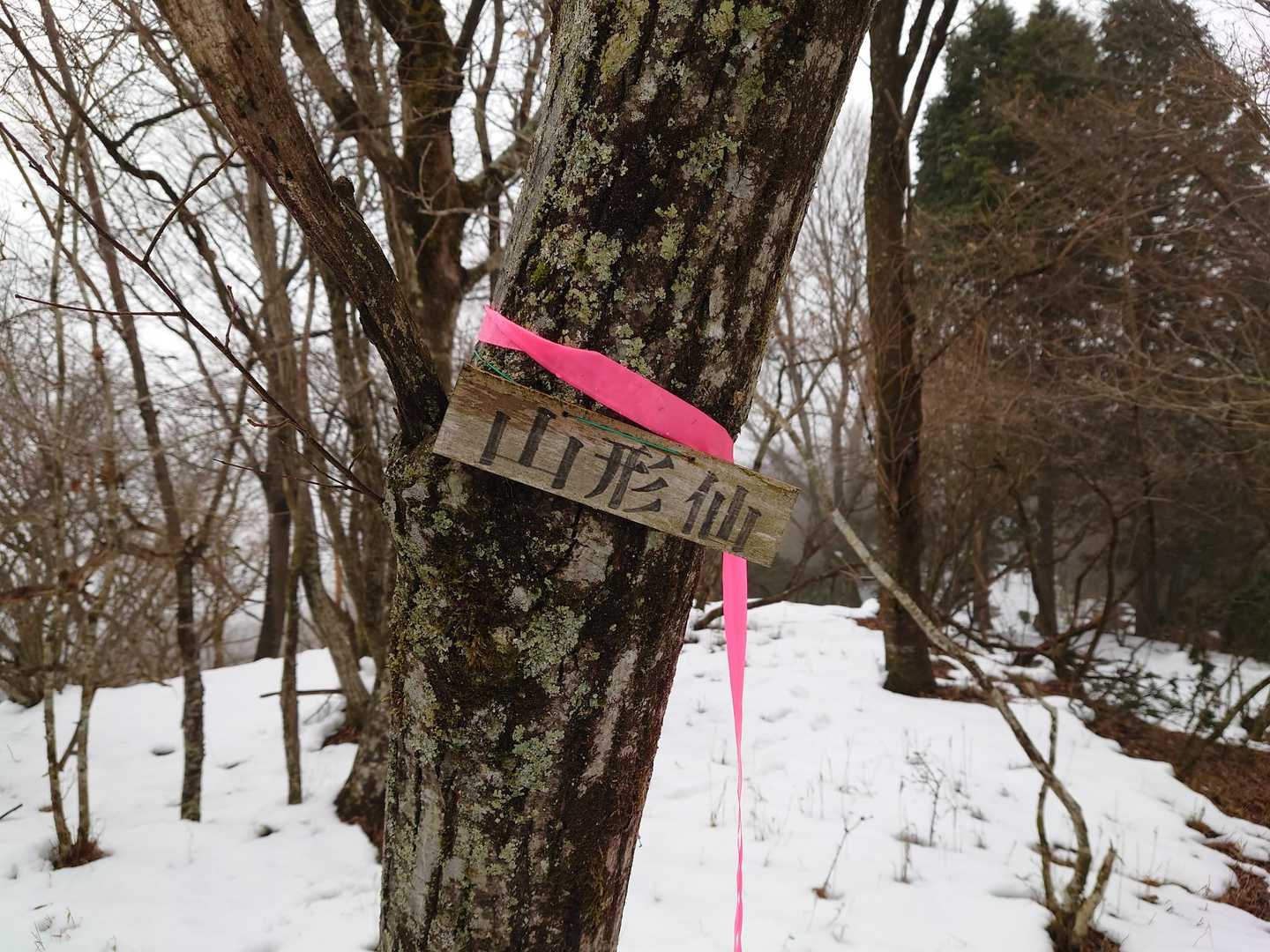 山形仙
標高791m