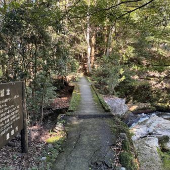大滝渓谷の橋