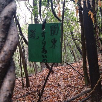 関東すりあいの道

これは…方言？
ふれあい…？

こんな事も楽しいのだ🎶
