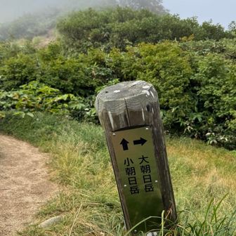 小朝日下の分岐
小朝日山頂に向かうか
トラバースし小朝日をパスするか
しばし思案
小朝日岳に登ることに