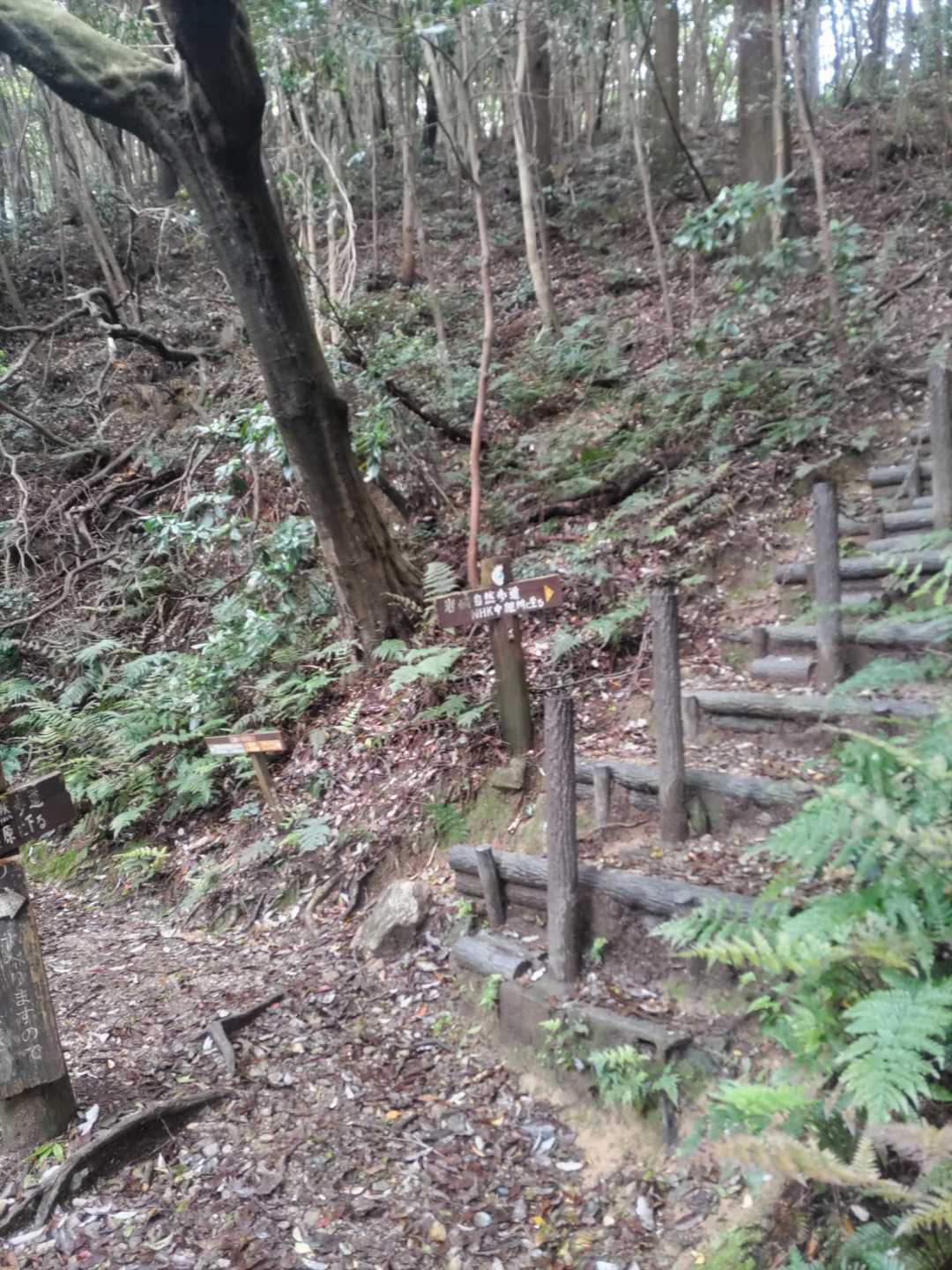 階段を登らず巻き道を進みます