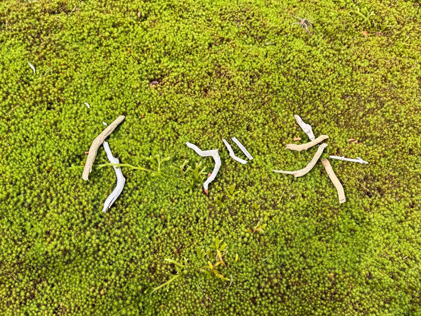 ついに着いたよ〜　これこれ🥰
「イ」がニョロニョロにホールドされている