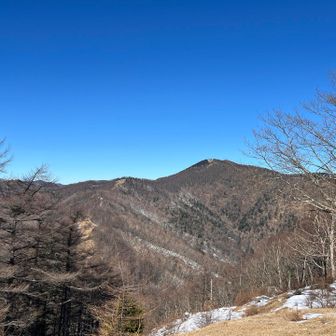 雲取山も見えました！