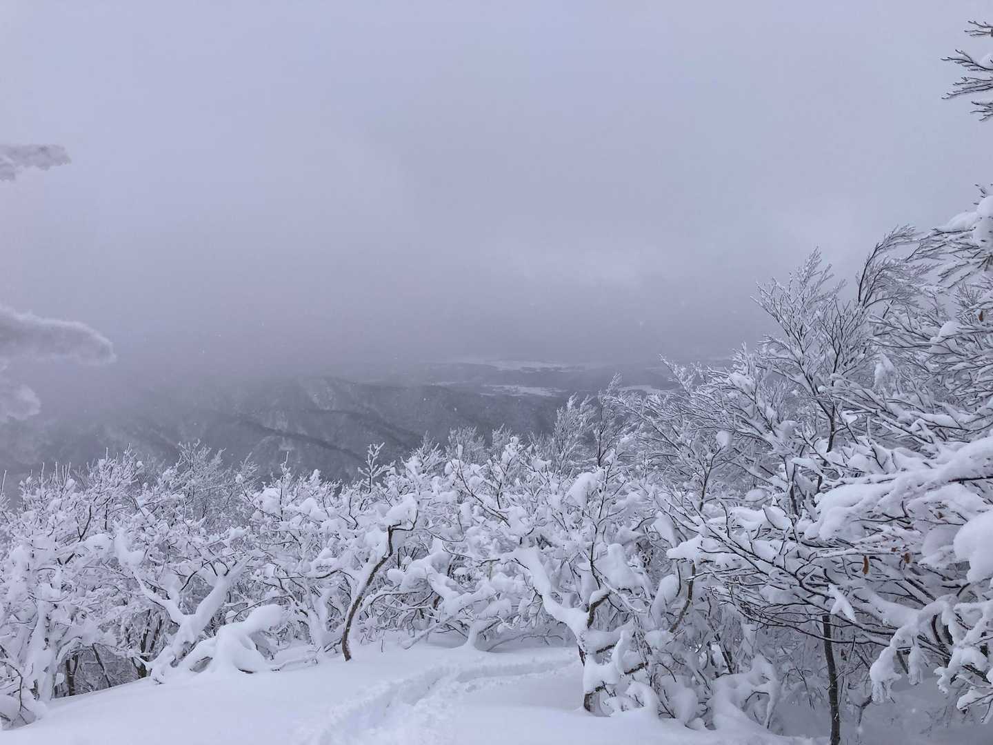 五頭山 三ノ峰コース | 弘法大師開山の五つの峰を越え、越後平野と飯豊連峰を望むの写真