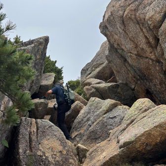 駒津峰に向けて登り返します