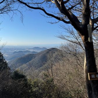 モヤってて富士山見つからない😭