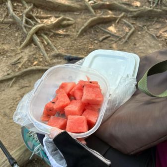 七合目ベンチで🍉食べたてー