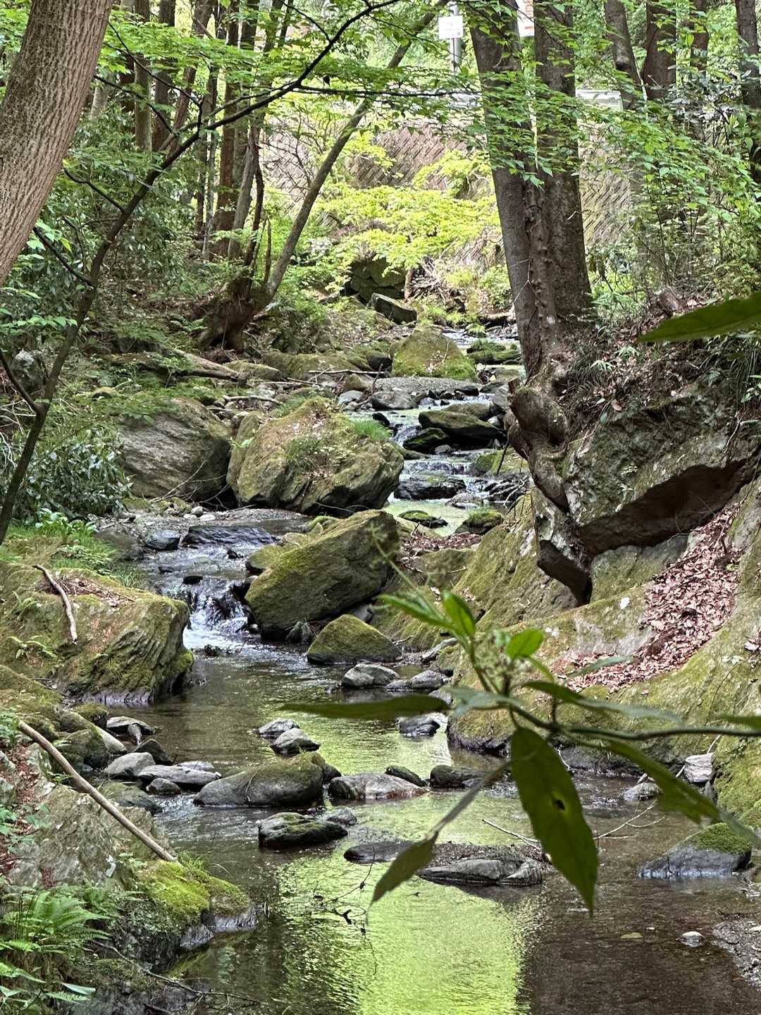 水の音が爽やか