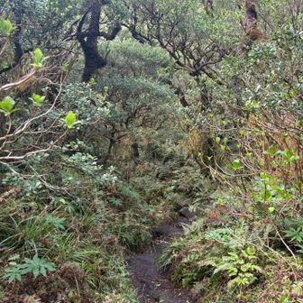 河口内は雰囲気が全く異なる