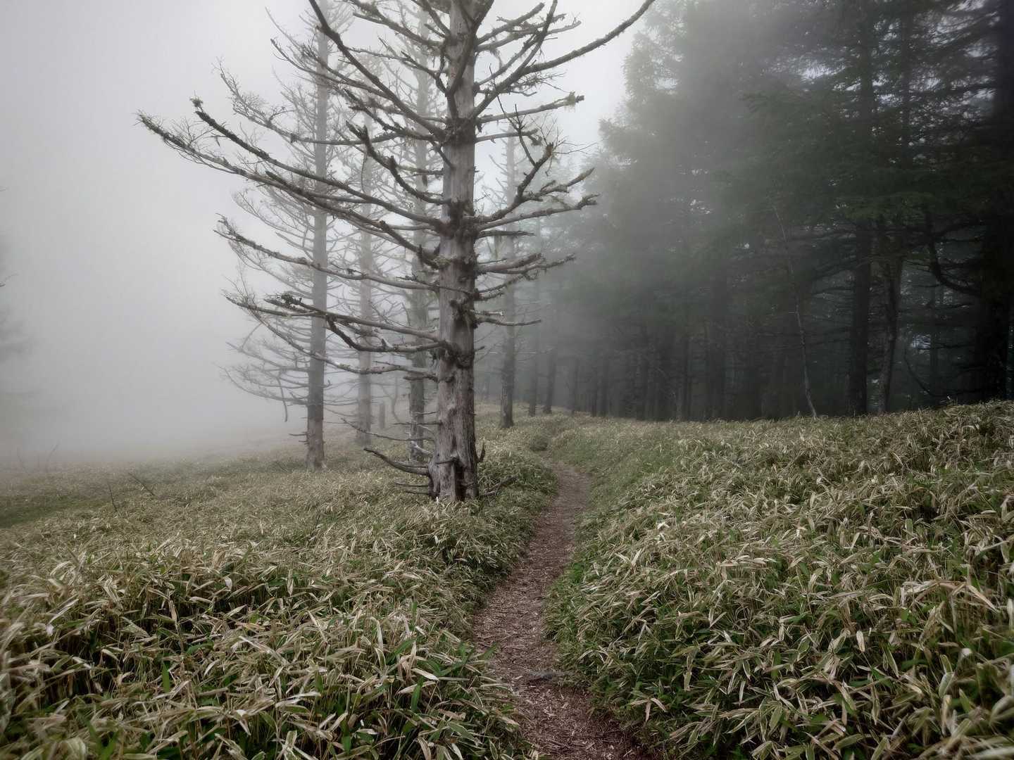 幻想的！