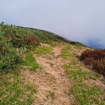 権現社から再び山頂に戻る🔙