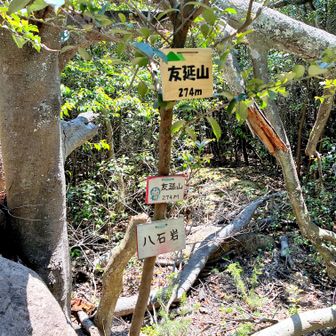 友延山到着