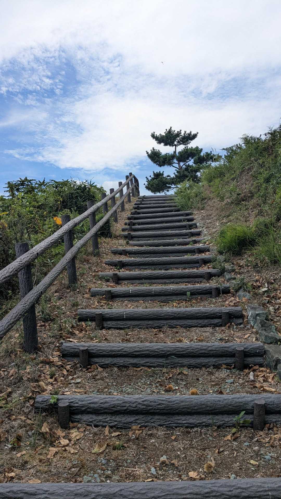 この辺りから…お腹が…トイレは無いよね…🥵💦😂