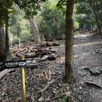 法然院の裏から大文字山へ