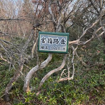 宮指路岳到着！