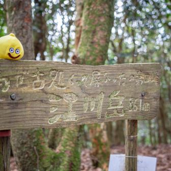 って思ってたのに、
スライム君「えーあと１時間多く歩けば屏山行けるやん？嘉穂アルプス制覇バッジ取れるやん？」
ゆっきー「いや～日没までには下山しないとさ～」
スライム君「んじゃ走ればよくね？ピオリムー！」
