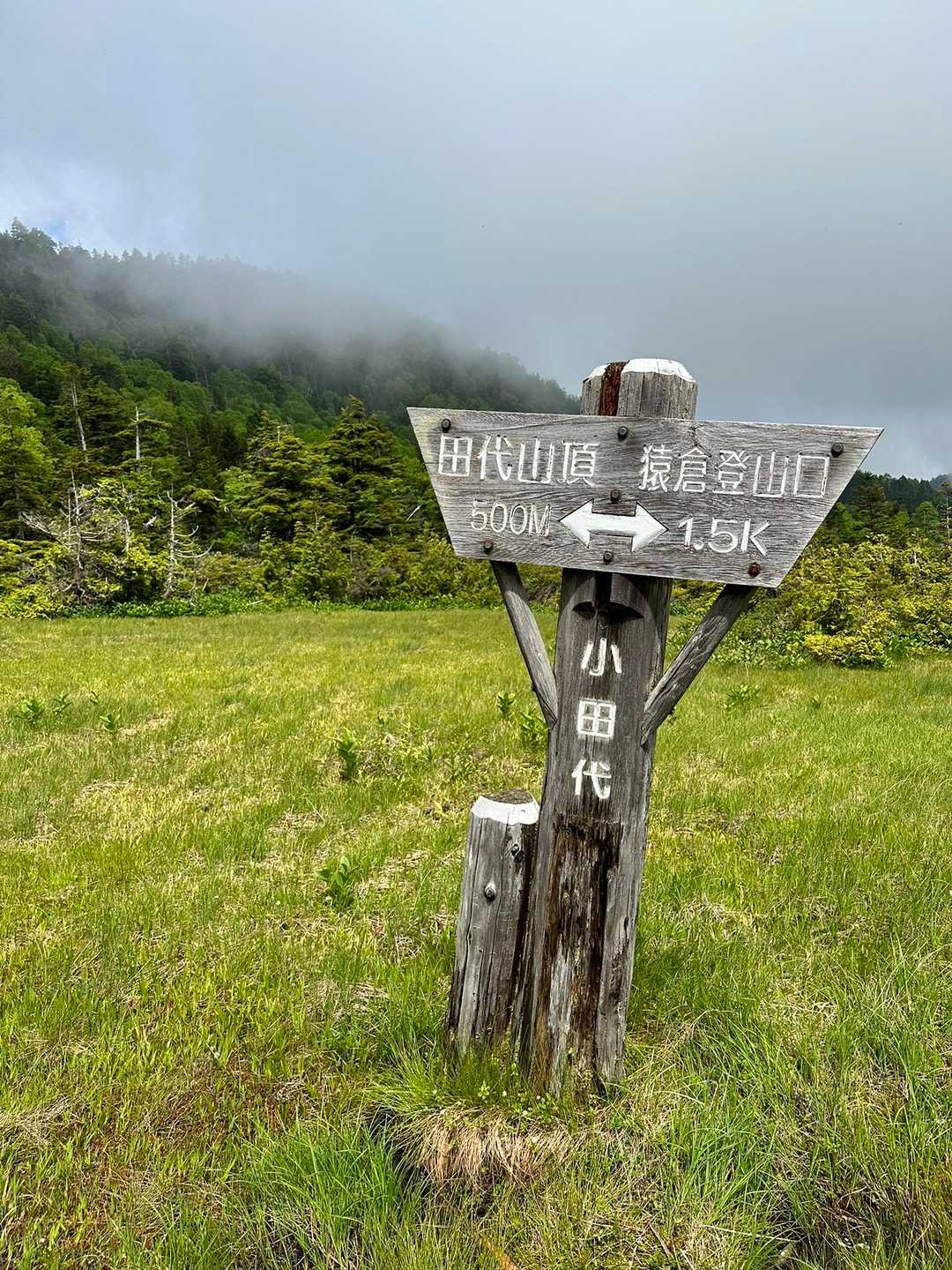 猿倉登山口-田代山-帝釈山 往復コースの写真