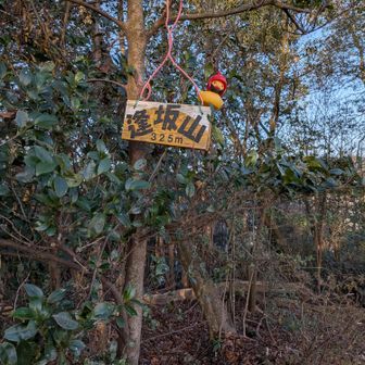 逢坂山山頂に到着