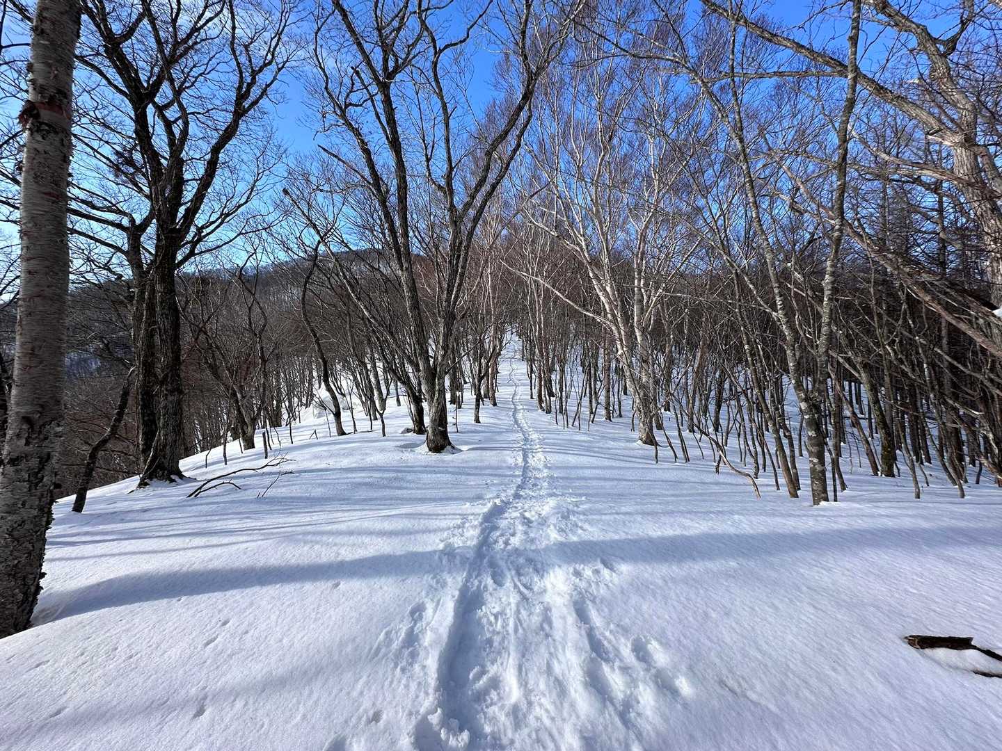 先週より更に雪が締まってて歩きやすい🎵