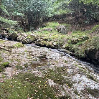龍が瀧の少し上流。